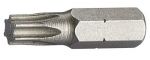 1 Stk. Bit Torx T25 1 Stk. Bit Torx T25