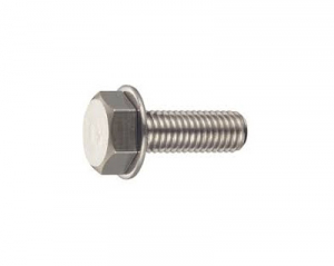 50 Stk. beschichtete Schraube M8 x 25 mit U-Scheibe 50 Stk. beschichtete Schraube M8 x 25 mit U-Scheibe